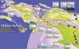 Die Trans-Papua Autobahn bedrohte die Artenvielfalt der West Papua