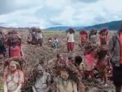 Die papuanische Provinzregierung sendete die 1.2 Tonnen Hilfe des Lebensmittels nach Kuyawage